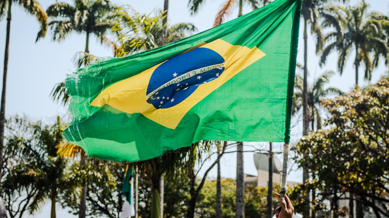 a flag flying in the wind with palm trees in the background