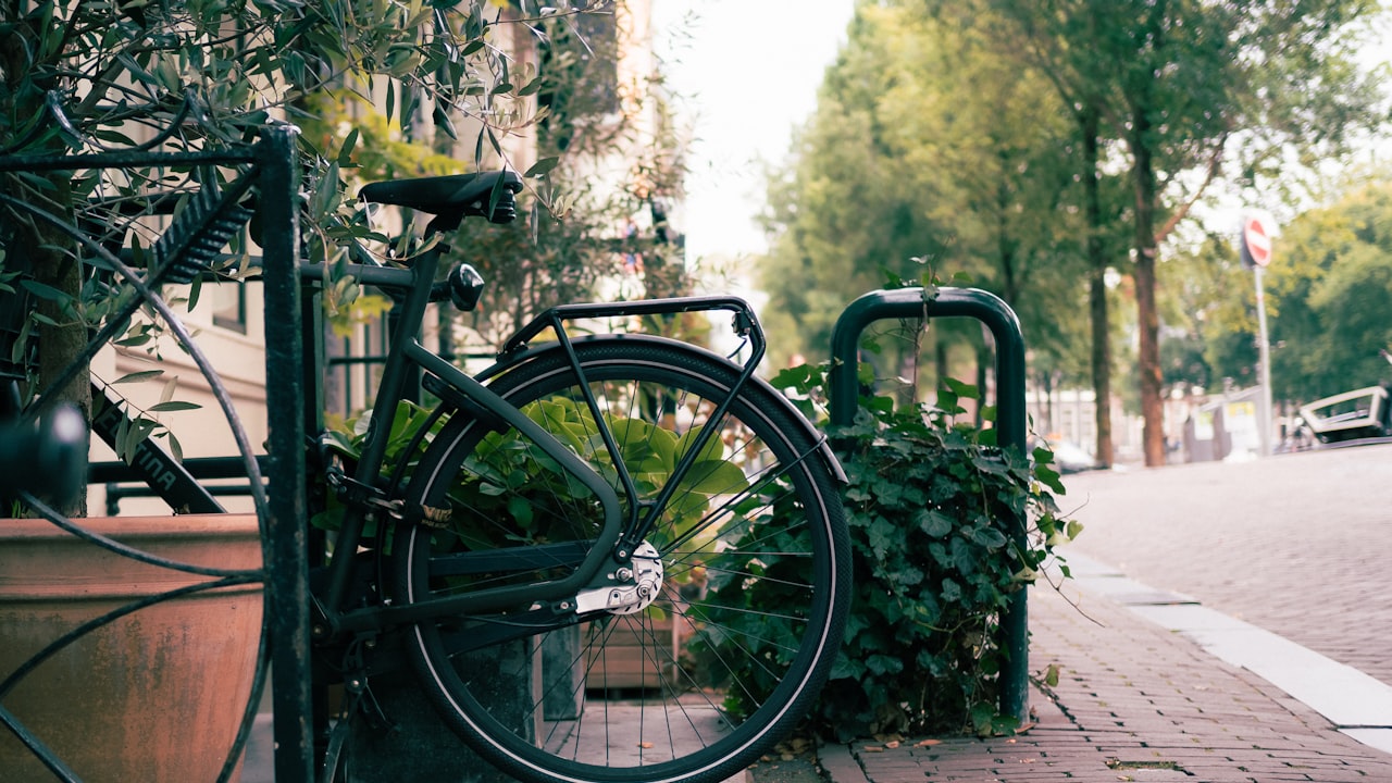 a bicycle parked next to a potted plant on a sidewalk