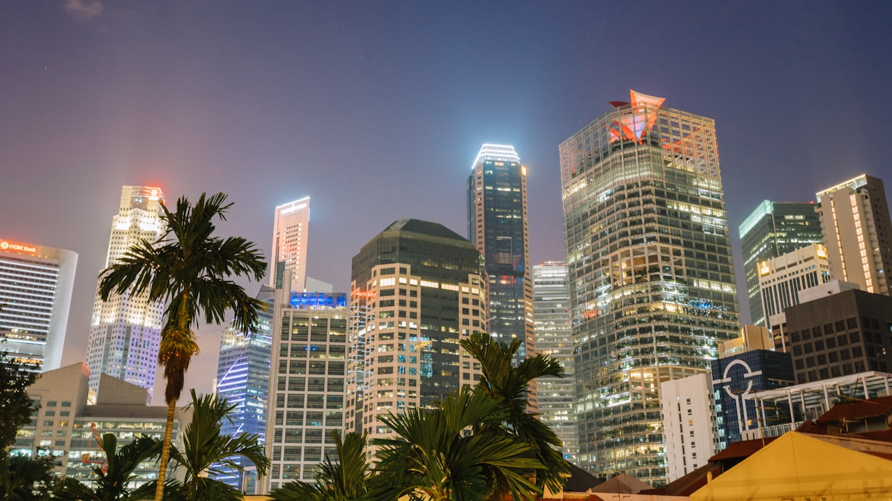 green palm trees near high rise buildings during night time