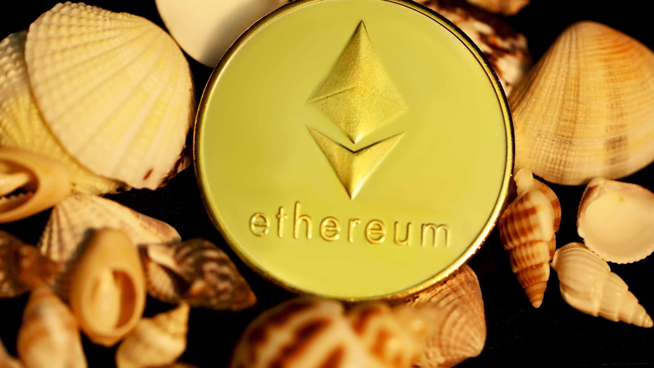 a gold ether coin surrounded by shells